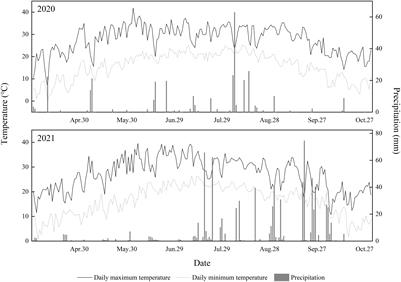 Impact of active root zone soil potassium levels on cotton yield and fiber quality under no tillage